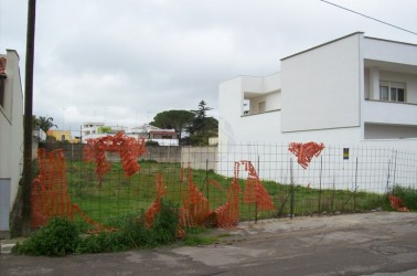 Visualizza tutti i dettagli